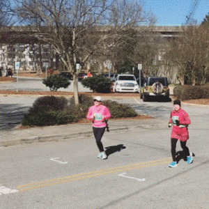 Running_SwampRabbit