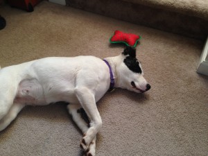 IMG_0800