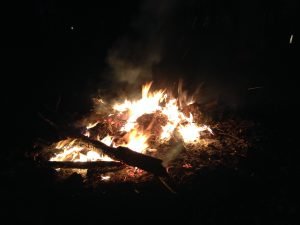 Feed the prospecting fire